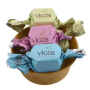 VIGOS CHOCOLATE 10G
